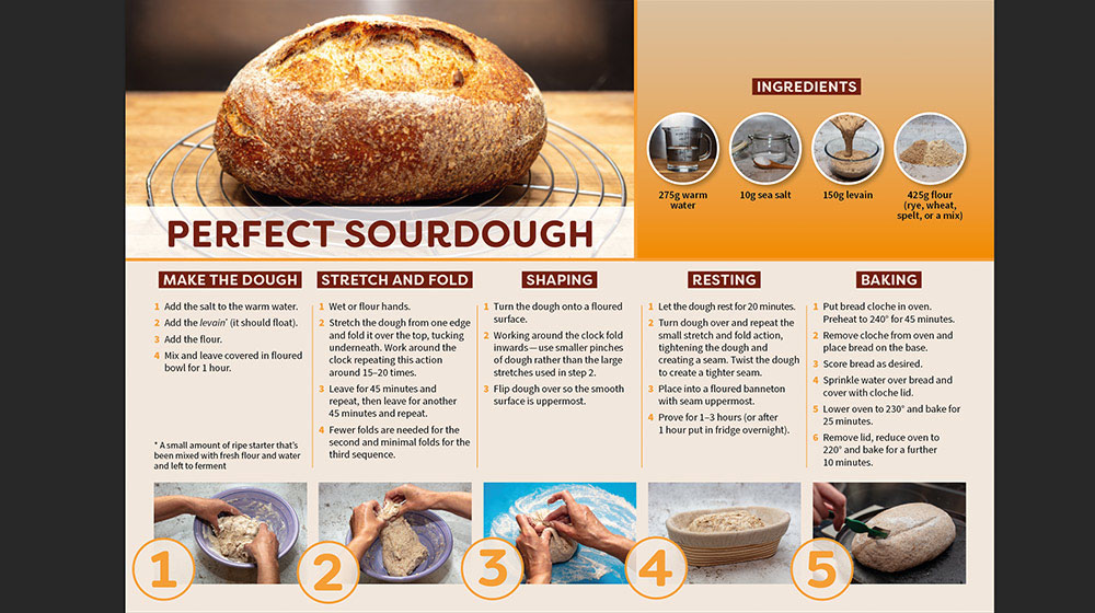 Convert PDFs to editable layouts in InDesign