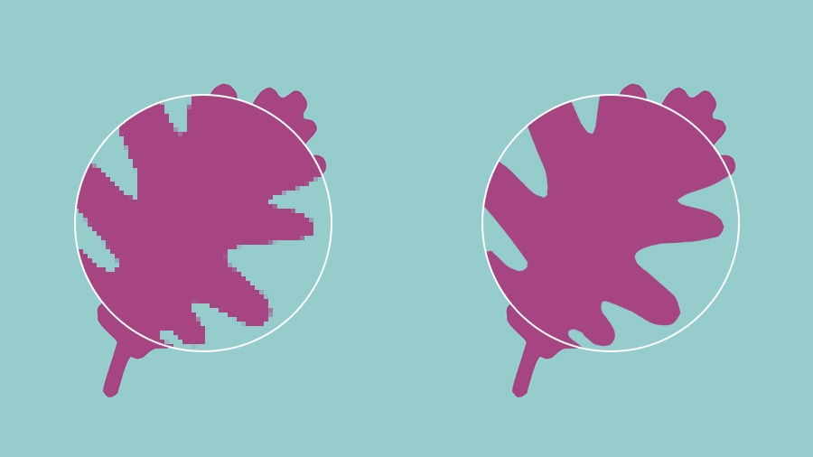 A side-by-side comparison of raster and vector graphics