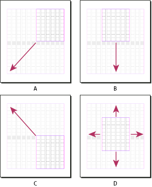 Layout grids in InDesign