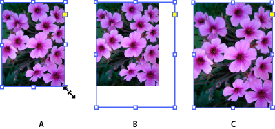 Transform objects in InDesign