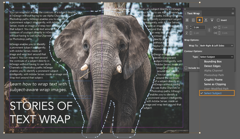 Subject aware Text wrap in InDesign subject aware wrap