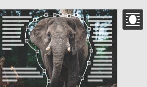 Subject aware Text wrap in InDesign subject aware text wrap