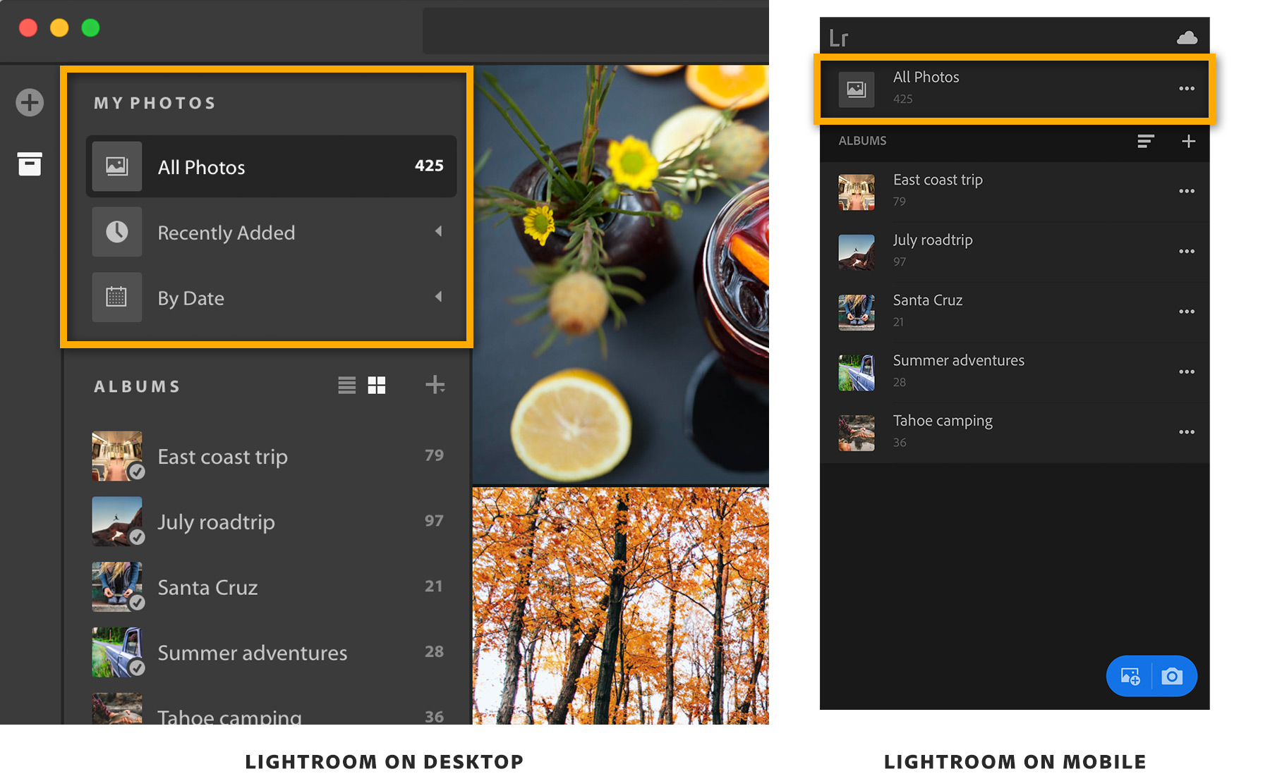 Adobe Lightroom e outros apps recebem selo de excelência da Google Play