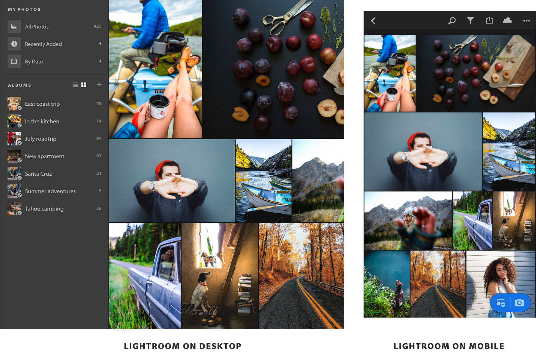 download adobe lightroom classic vs photoshop