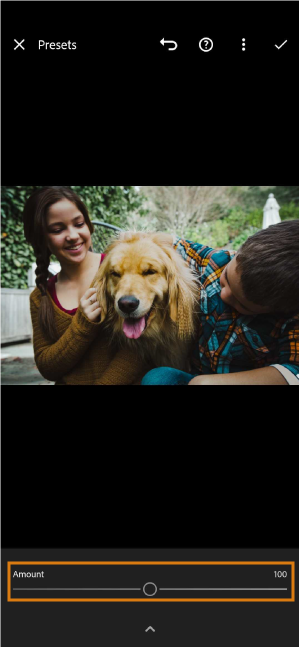 preset-amount-slider