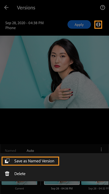 Save as Named Version