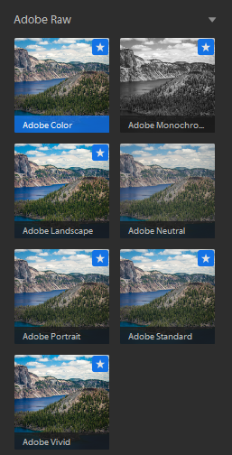 Профили Adobe Raw