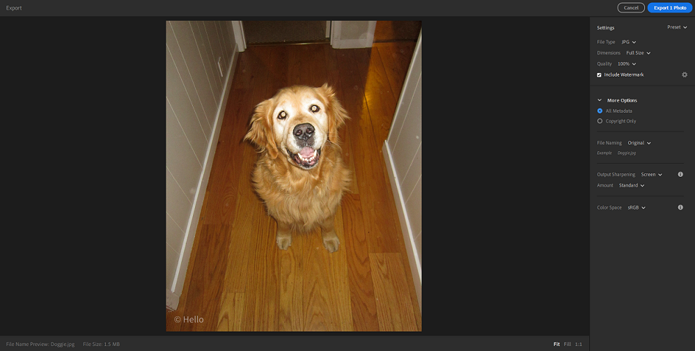Export settings in Lightroom desktop