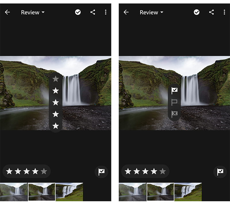 Rate & Review panel in Adobe Photoshop Lightroom CC for mobile (Android)