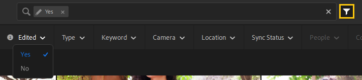 The new Edited filter in Lightroom desktop