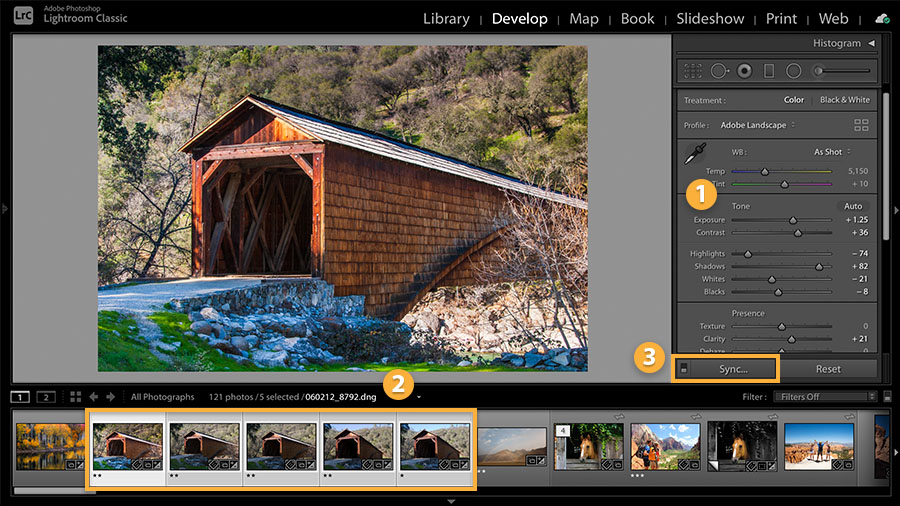 adobe lightroom free for mac torrent