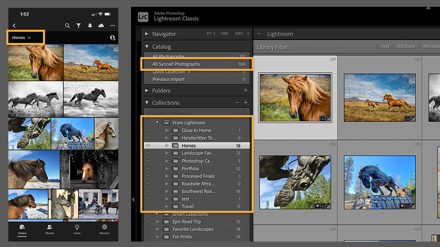 adobe lightroom classic cc sync new catalog