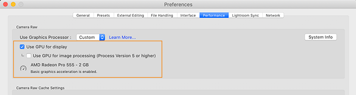 Lightroom Classic GPU preference