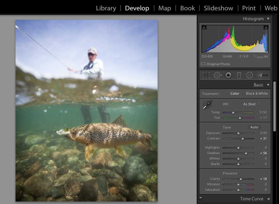 The Basic panel in the Develop module Lightroom Classic CC Basic panel in the Develop module