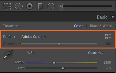 Profile area in the Basic panel