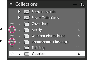 Sync icon in Lightroom Classic CC Collection panel