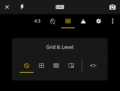 Параметры наложения видоискателя в Adobe Photoshop Lightroom CC для мобильных устройств