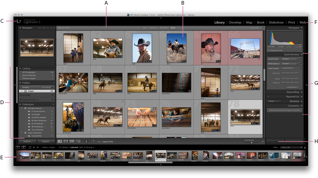 Workspace Basics In Lightroom Classic