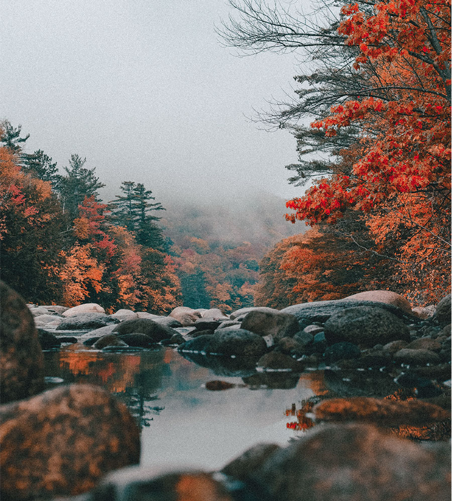 调整后的秋天场景，色彩更鲜艳的叶子。