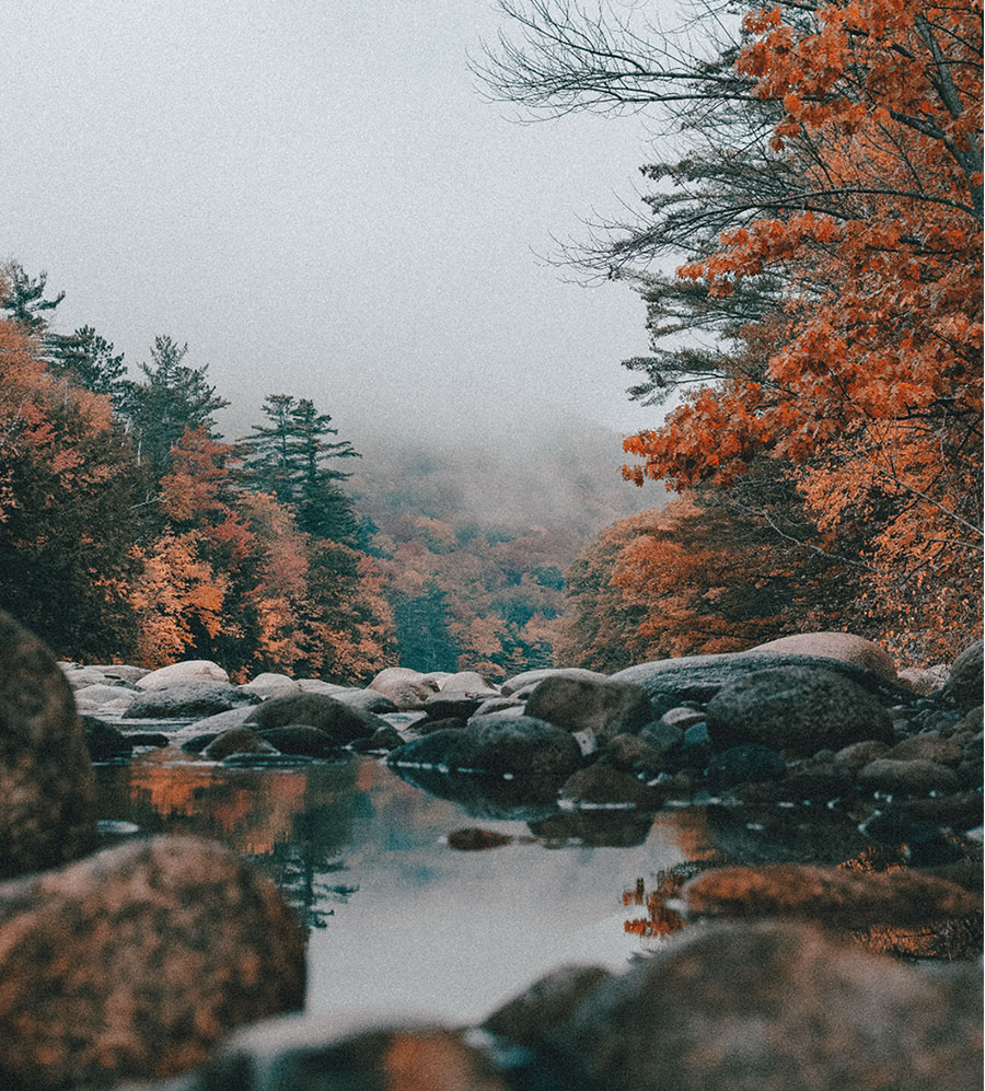 原始的秋天场景，柔和的色彩。