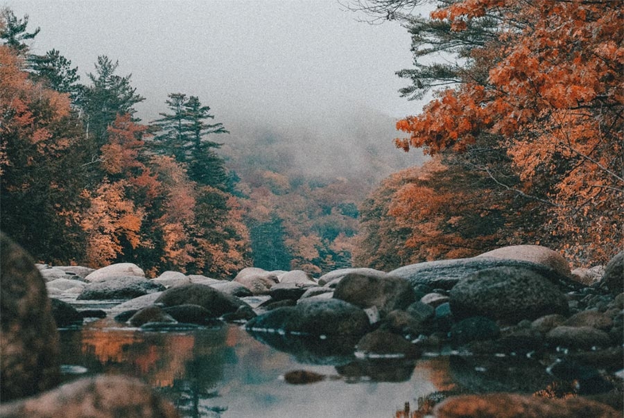 Fall nature scene with lake, large rocks, and trees with red foliage appears grainy with muted colors. Fall nature scene with lake, large rocks, and trees with red foliage appears grainy with muted colors.