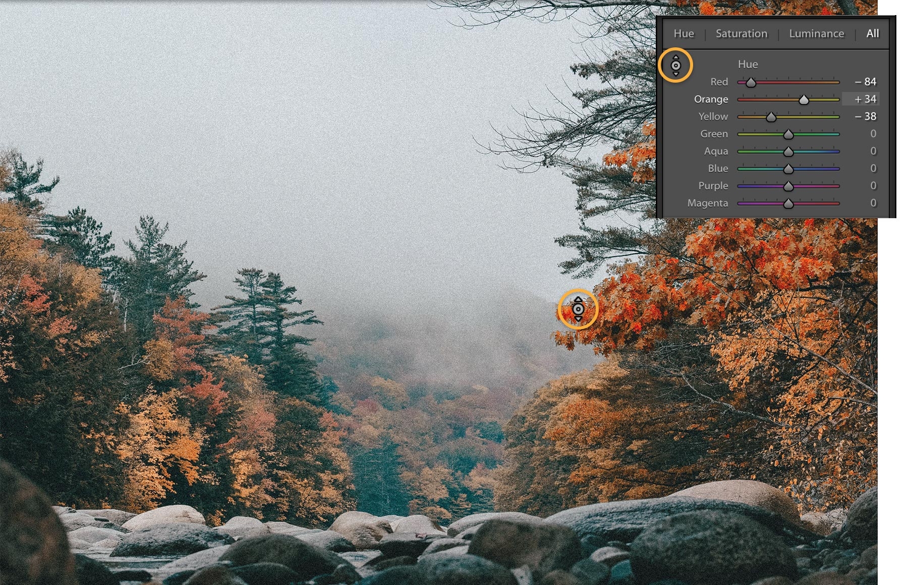 The Targeted Adjustment tool is used to adjust only the leaves in a small section of the autumn scene. The Targeted Adjustment tool is used to adjust only the leaves in a small section of the autumn scene.