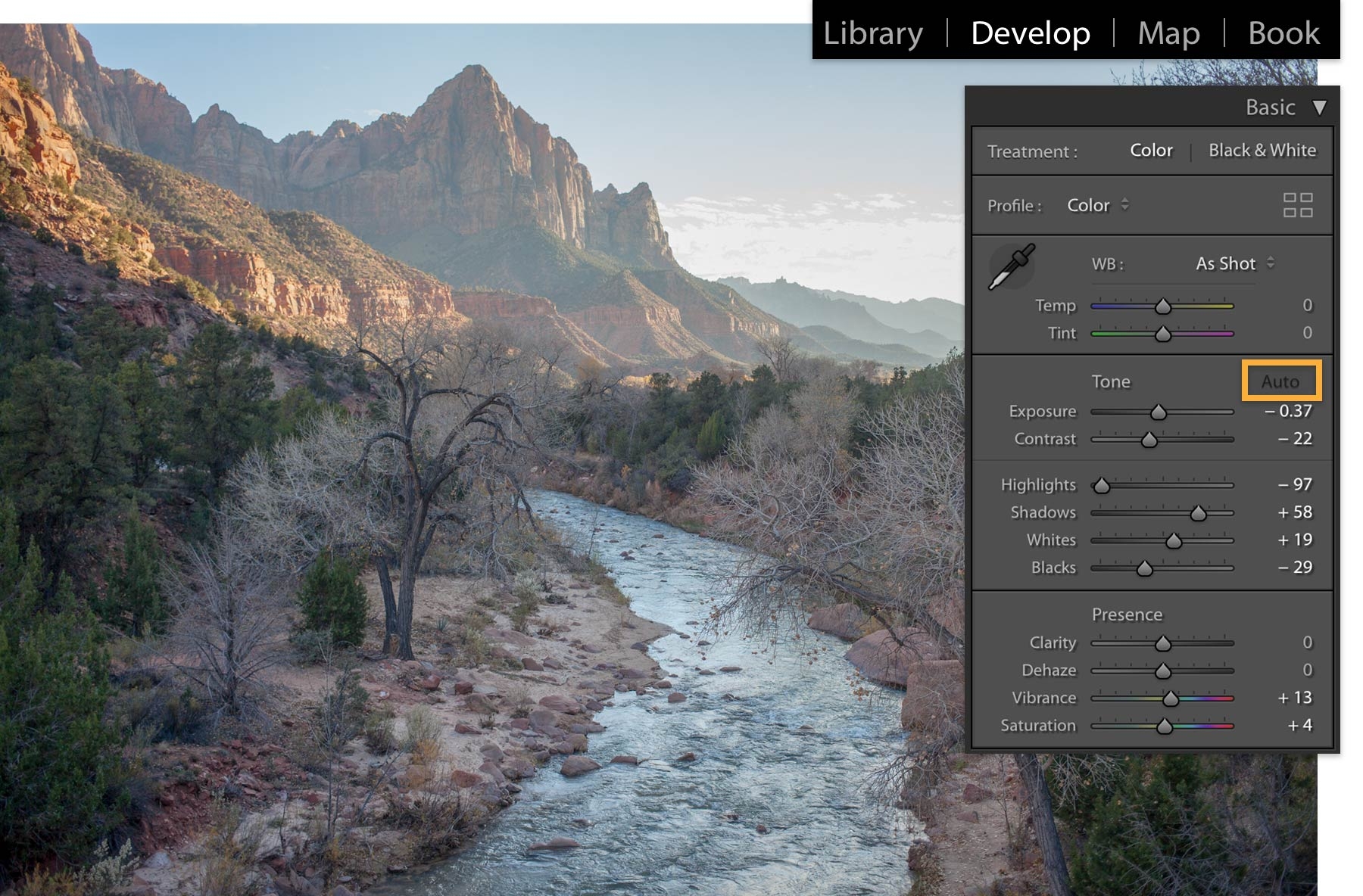 Develop > Tone > Auto is selected to see instant, automatic color adjustments. Develop > Tone > Auto is selected to see instant, automatic color adjustments.