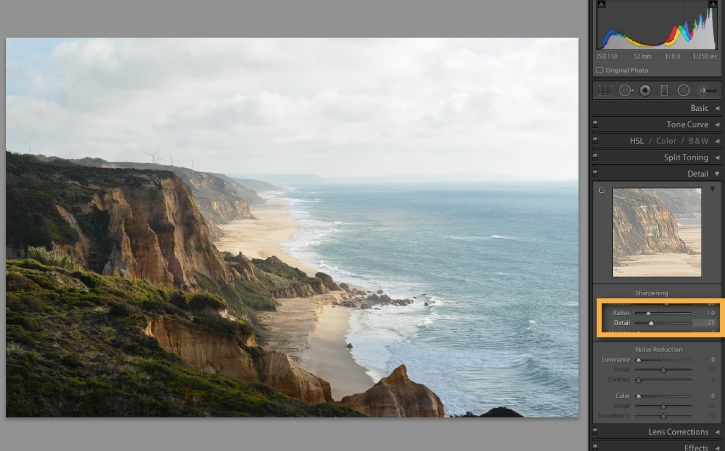 The Radius and Detail sliders determine how large the details of the image are and how much definition is created. 