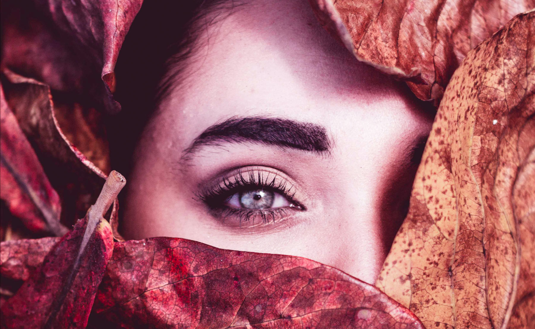 Adjusted photo of leaves covering woman's face shows color-corrected highlights and shadows. Adjusted photo of leaves covering woman's face shows color-corrected highlights and shadows.