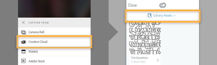 Choose Library Assets Choose Library Assets