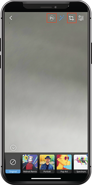 Category filters and lens management