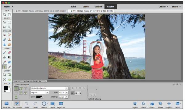 Expert view in Photoshop Elements