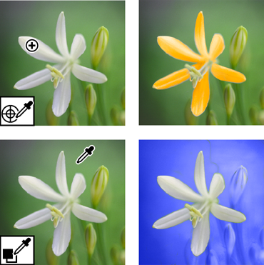 Replace colors in an image Replace colors in an image