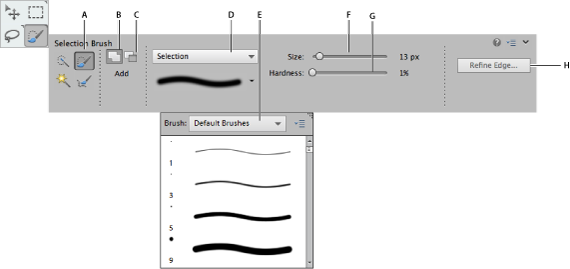 Selection Brush tool options Selection Brush tool options