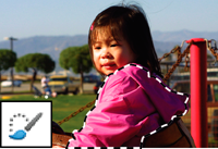 Make selections in Photoshop Elements