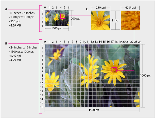 About image size and resloution