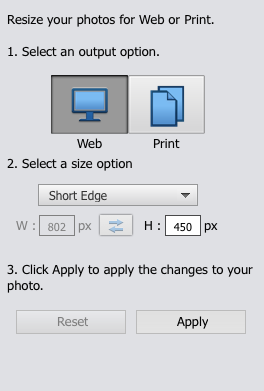 Resize dialog box