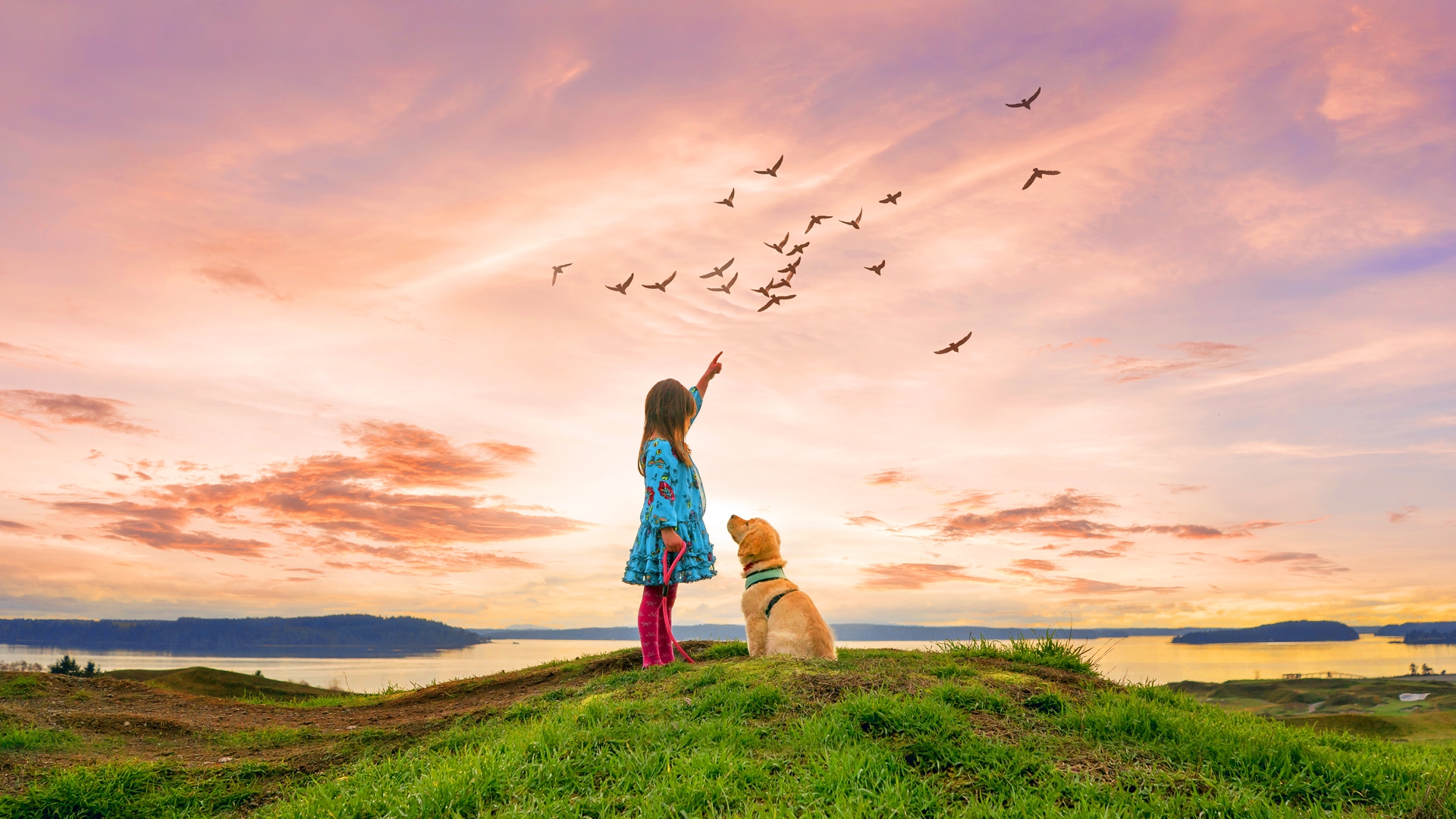 Photoshop Elements 2022