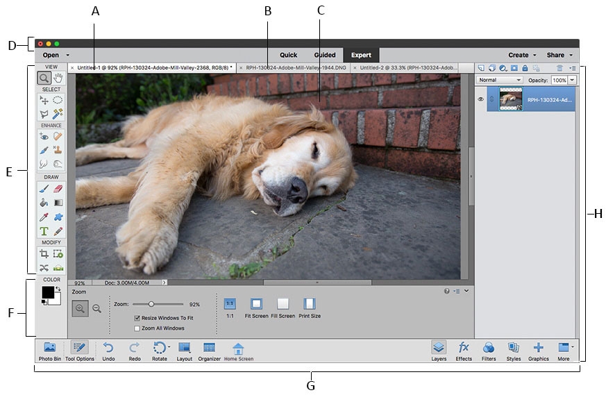 Photoshop Elements ワークスペースの基本