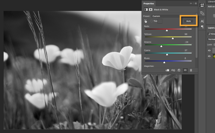 Convert a color image to black and white in Photoshop and share