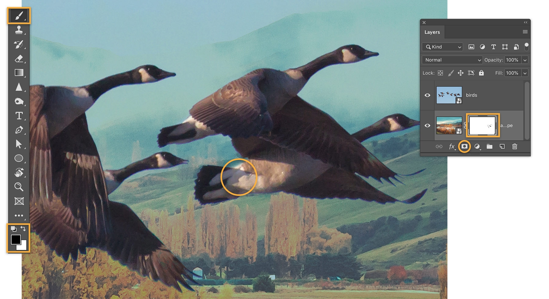 Darken blend mode is chosen but makes white feathers on the birds appear invisible. Layer mask is added for color correction. Darken blend mode is chosen but makes white feathers on the birds appear invisible. Layer mask is added for color correction.