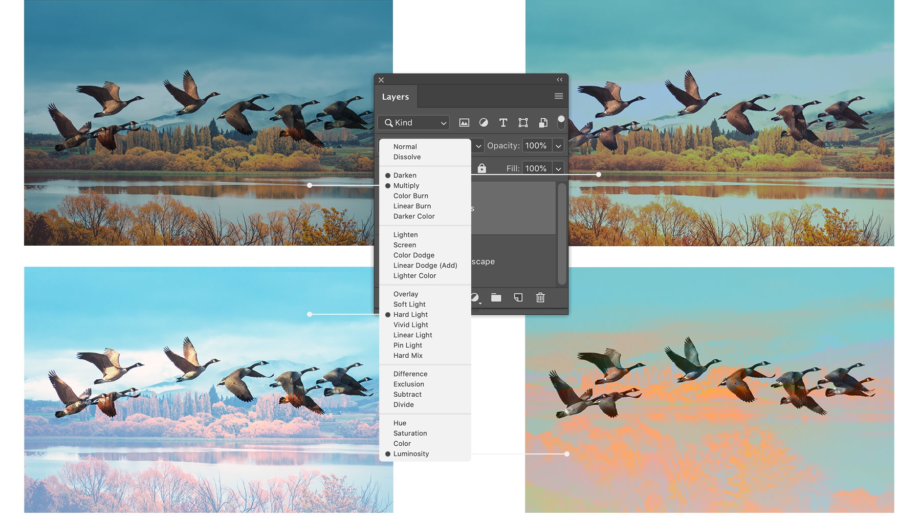 Layering Videos with Blend Modes  Adobe Social Media Video Course