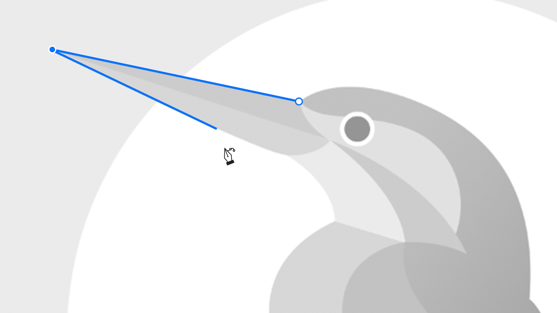 How To Draw Straight And Curved Lines In Photoshop