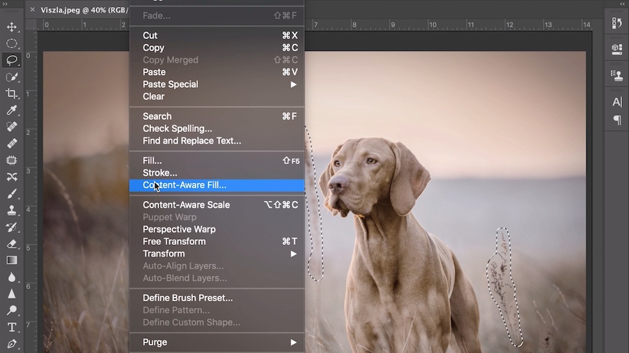 How to use Content-Aware Fill in Photoshop CC 2020