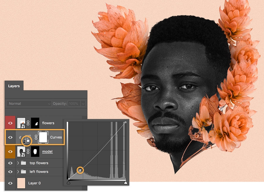 The man's face is now surrounded by two sets of flowers, and Layers > Curves is displayed The man's face is now surrounded by two sets of flowers, and Layers > Curves is displayed