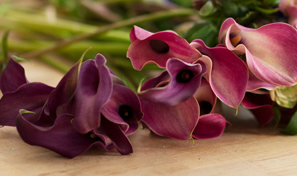 Ajuste de la calidad de imagen