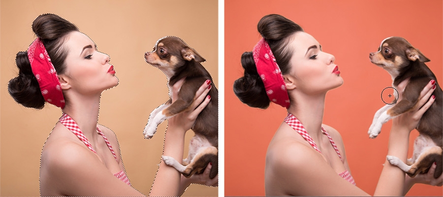 Woman holding a chihuahua dog selected to isolate and change the background color Woman holding a chihuahua dog selected to isolate and change the background color