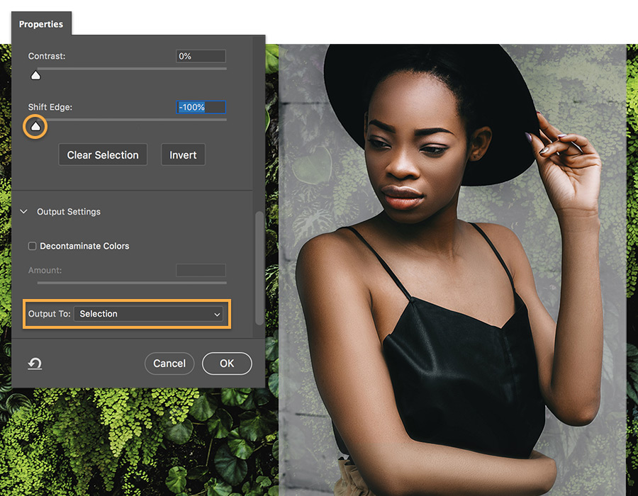 Adobe Photoshop online, free Background Changer