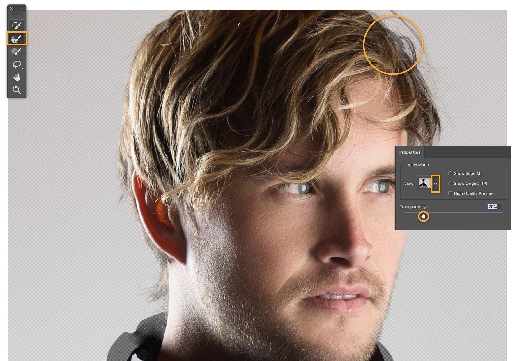 Top 103+ How to add more hair in photoshop - Whendannymetsally.com