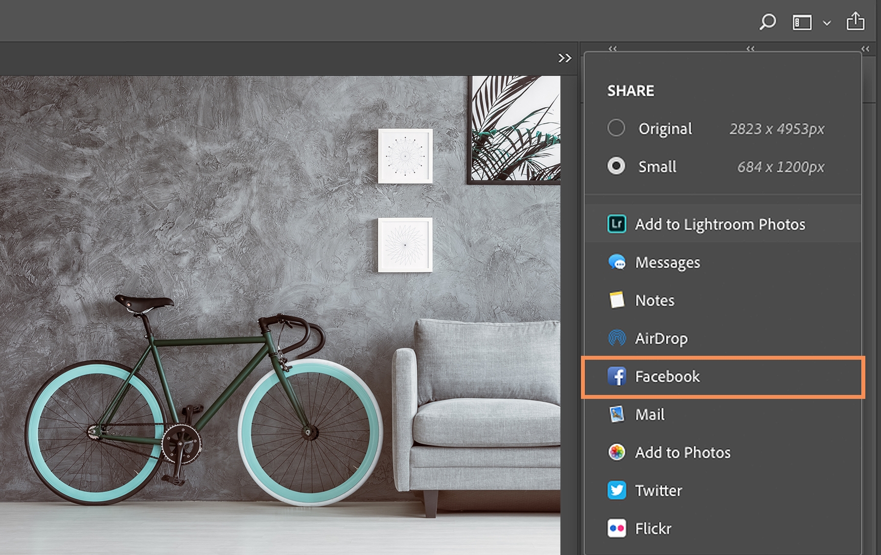 In macOS Share box, Facebook is selected In macOS Share box, Facebook is selected